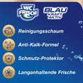 WC FRISCH Kraft Aktiv Blauspüler Ozeanfrische (4x50 g), WC Reiniger mit innovativer Geruchs-Stopp-Formel, Duftsteine für extra Frische und eine sichtbare Reinigung